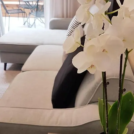 N&c Suites Puerto De La Cruz Apartment